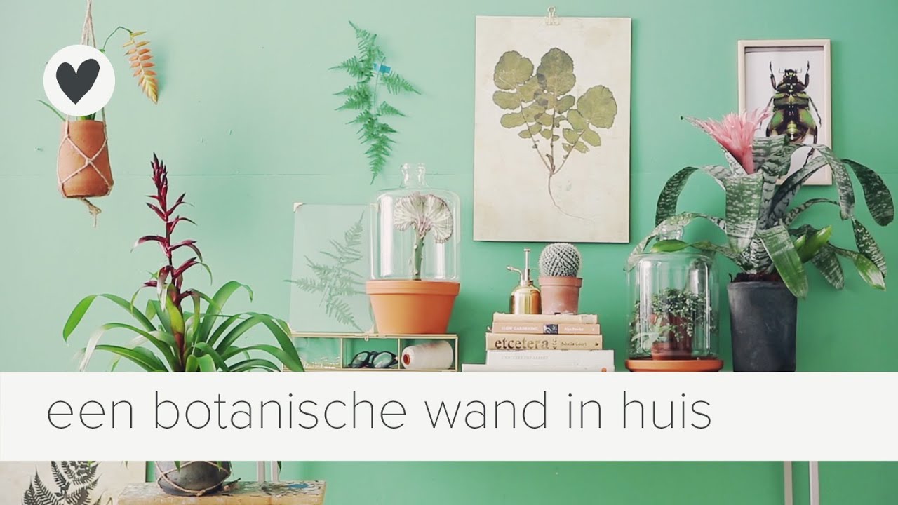 groen aan de muur | vtwonen | tips
