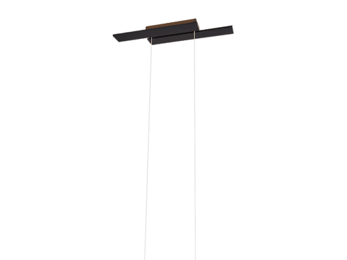 Minimalistische zwarte hanglamp met een dunne, langwerpige horizontale balk die aan twee slanke staven aan een bijpassende rechthoekige plafondbevestiging hangt. De lamp heeft een strak en modern design.