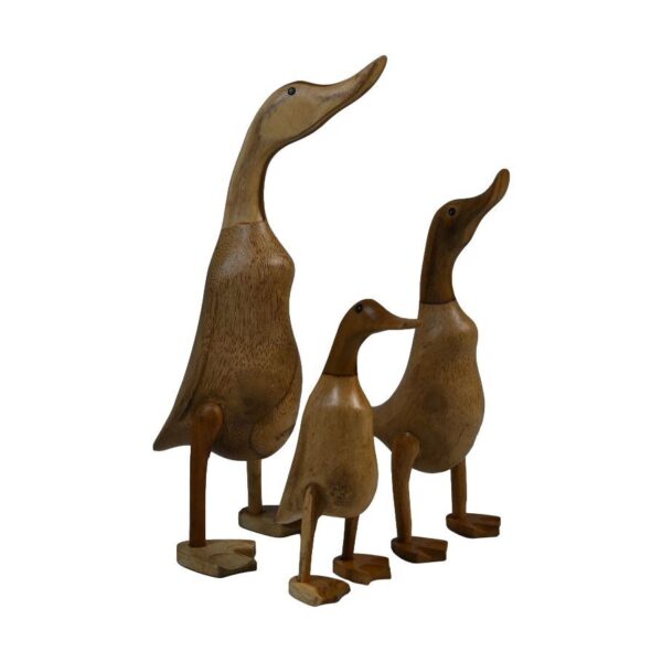 Drie houten eendensculpturen van verschillende groottes staan bij elkaar. Elke eend is gemaakt met een gladde afwerking, met gedetailleerde houtsnijwerken en een natuurlijke houtstructuur. De eenden kijken dezelfde kant op tegen een witte achtergrond.