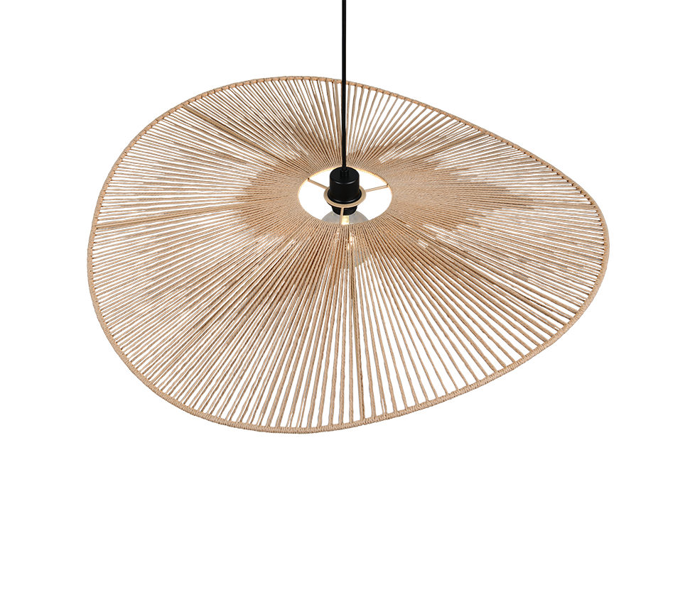 Een moderne plafondlamp met een unieke, asymmetrische waaiervormige kap. De kap bestaat uit dunne, gelijkmatig verdeelde radiale lijnen die samenkomen bij de lichtbron, waardoor een minimalistisch en elegant ontwerp ontstaat.