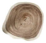 Doorsnede van een boomstam met groeiringen, met een natuurlijke, ongelijke vorm. De ringen variëren in tinten bruin en beige, wat de leeftijd en groeipatronen van de boom aangeeft. De randen zijn onregelmatig en licht gekleurd.
