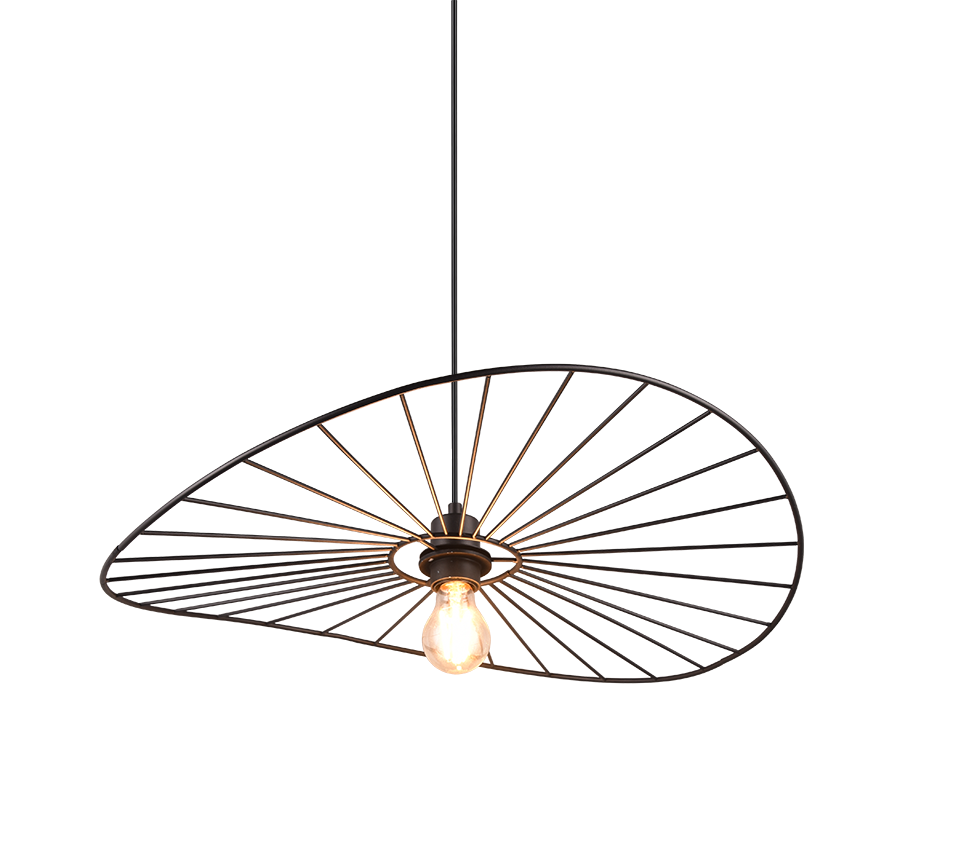 Moderne hanglamp met een zichtbare gloeilamp en een unieke, asymmetrische draadframe kap die aan een dun zwart snoer hangt. Het ontwerp heeft een geometrisch patroon met een licht gebogen structuur, wat zorgt voor een industriële en artistieke look.