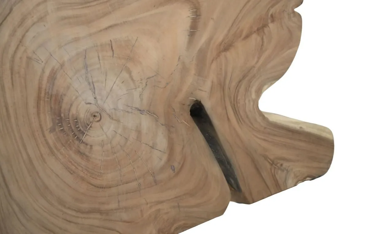 Close-up van een gepolijste plaat van natuurlijk hout met zichtbare jaarringen en scheuren. Het oppervlak vertoont een verscheidenheid aan aardse tinten en texturen, die het nerfpatroon van het hout benadrukken. Er is een gekartelde rand aan de rechterkant van de afbeelding.