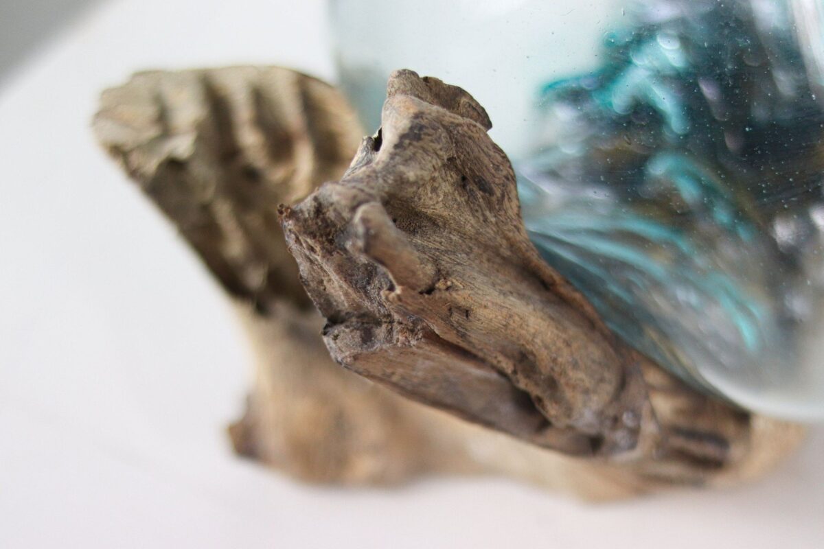 Close-up van een decoratief glazen object dat rust op een getextureerd stuk drijfhout. Het drijfhout heeft een natuurlijke, verweerde uitstraling en het glas is licht reflecterend met blauwe accenten. De achtergrond is zacht vervaagd.