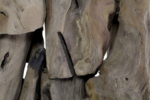 Close-up van onregelmatig gevormde, verweerde houten planken met verschillende tinten bruin en grijs. De textuur is ruw en natuurlijk, met knopen en nerfpatronen. De opstelling is vol met gaten, wat contrast en diepte biedt.