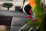 Een antraciet 3 zits bank CL L+R, stof RIB (RIB230), met een zwart-wit kussen staat naast een klein zwart bijzettafeltje met een afstandsbediening. Heldere, onscherpe bloemen vullen de voorgrond.