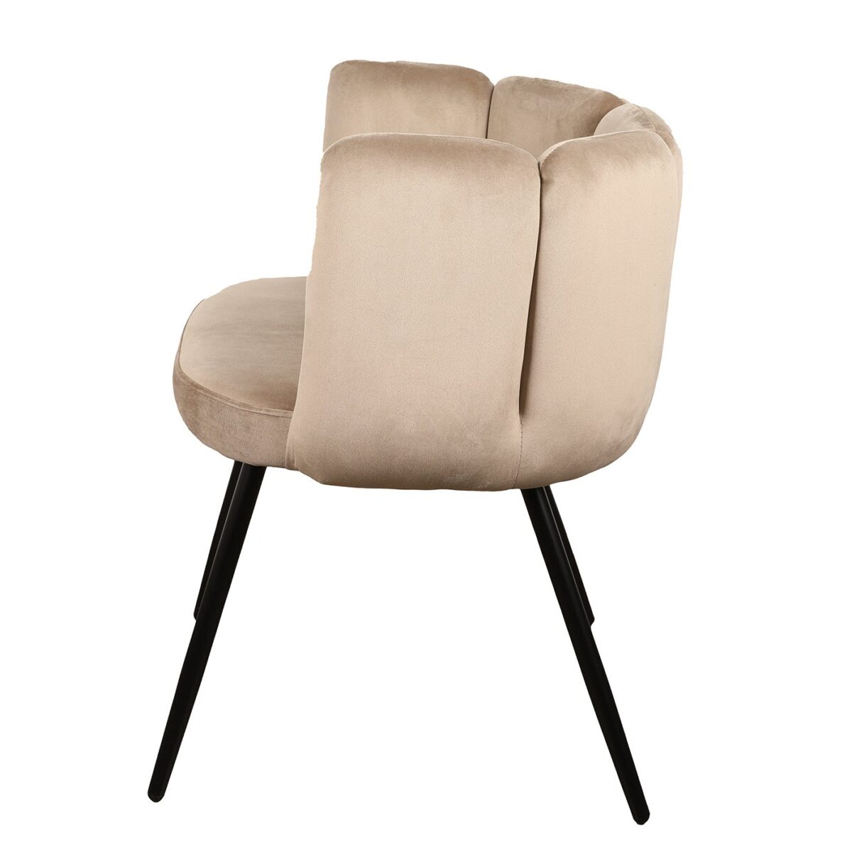 Een moderne beige fluwelen stoel met een ronde rug en zachte kussens. Het heeft vier strakke zwarte metalen poten, naar buiten gericht voor ondersteuning. Het zijprofiel van de stoel benadrukt het elegante en eigentijdse ontwerp.