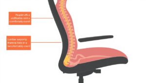 Anatomische ondersteuning van een comfortabele stoel met aanduiding van ruggengraat en lendenen