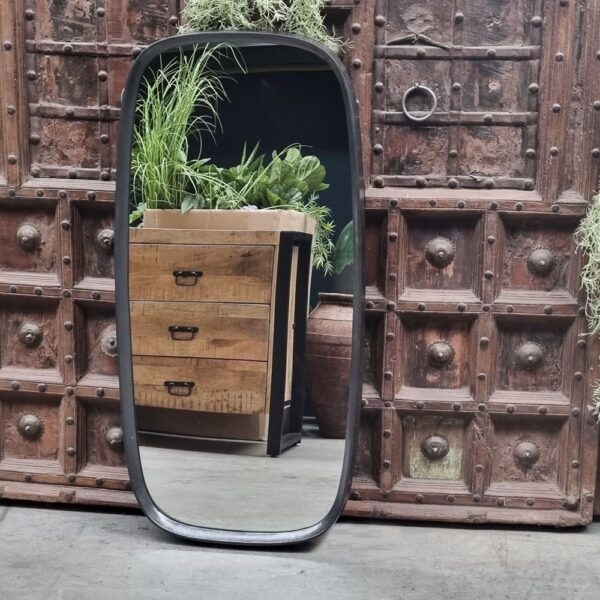 De Spiegel Langwerpig, een hoge afgeronde rechthoekige spiegel, staat op de vloer en weerspiegelt een houten ladekast met laden en groene potplanten, voor een sierlijke rustieke houten deur met metalen accenten.