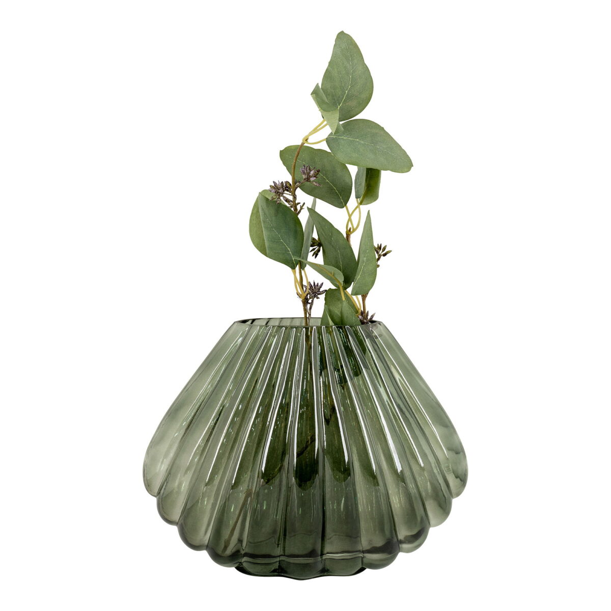 De vaas van mondgeblazen groen glas (29x11,5x22 cm) heeft een geribbeld ontwerp, een brede basis en een smalle opening, met daarin groene bladstelen en knoppen tegen een witte achtergrond.