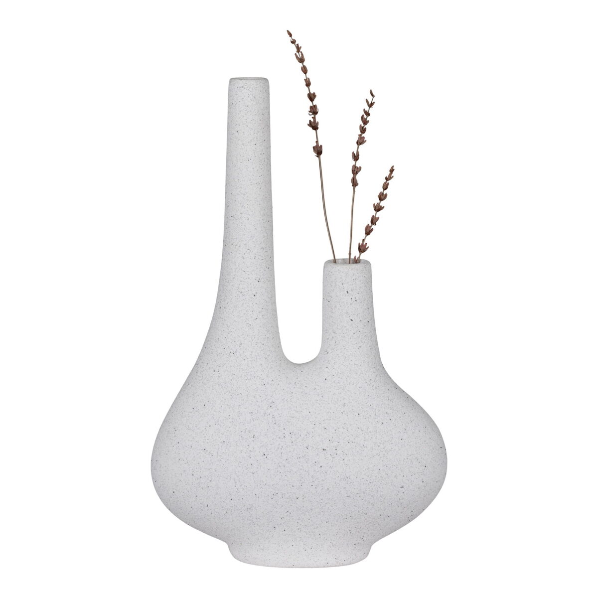 Een moderne vaas van wit keramiek (23x11,5x37 cm) met twee asymmetrische halzen, een hoge en een korte, bevat gedroogde lavendelstengels tegen een effen witte achtergrond.
