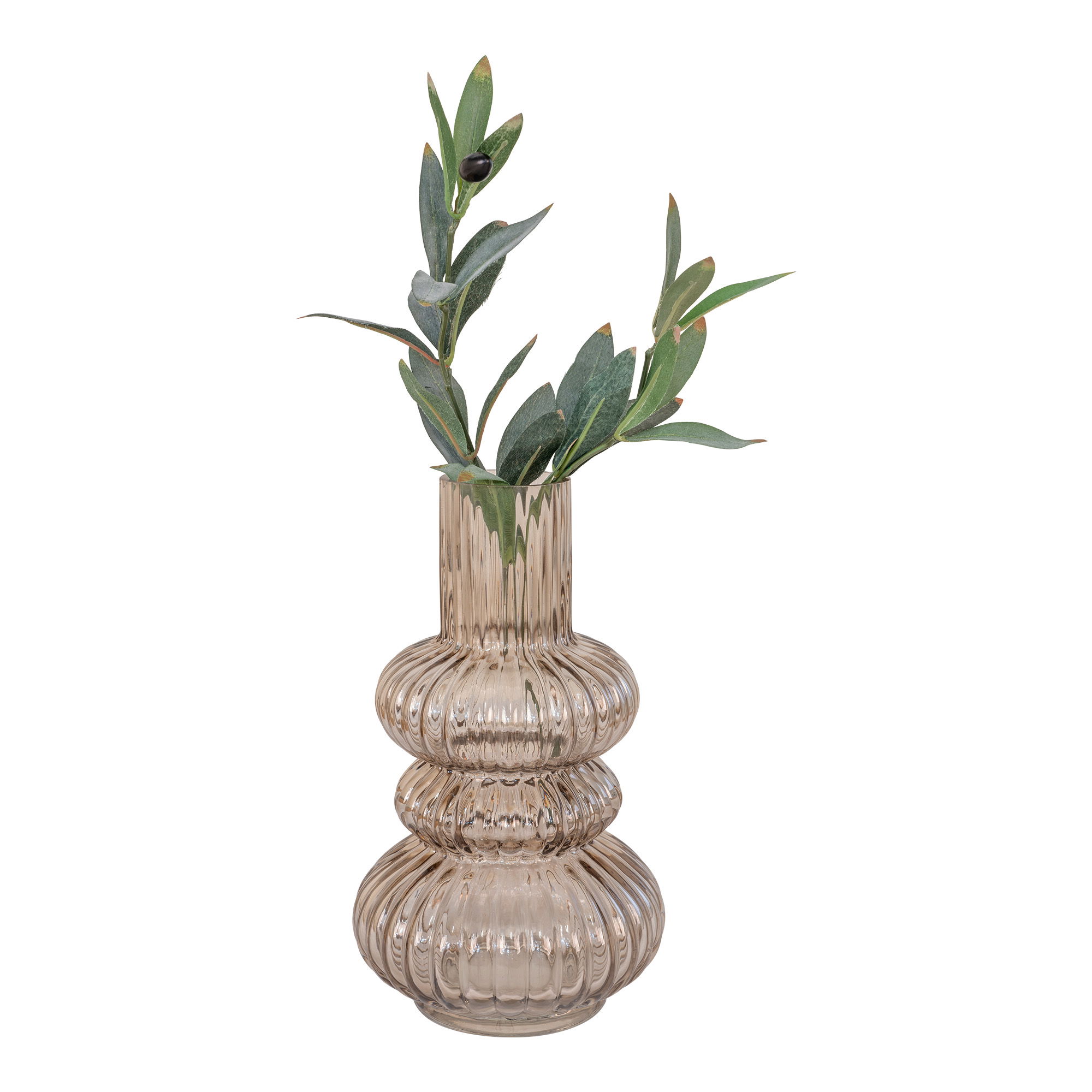 De Vaas - Vaas van gerookt mondgeblazen glas Ø15x25 cm is geribbeld, doorschijnend bruin met een bolvormige, trapsgewijze vorm, met daarin groene bladtakken met kleine donkere vruchten, tegen een effen witte achtergrond.