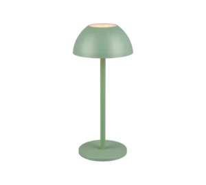 De REALITY Tafellamp RICARDO is een moderne matgroene tafellamp met een ronde voet, rechte steel en koepelvormige kap. Als hij aanstaat, straalt hij een zacht licht uit vanaf de bovenkant.