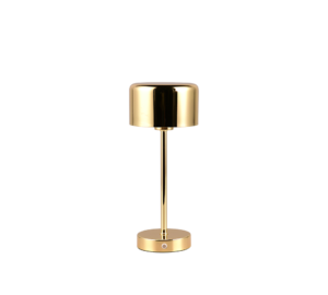 De REALITY Tafellamp JEFF heeft een modern gouden ontwerp met een cilindrische kap, slanke verticale steel en ronde metalen voet. De reflecterende afwerking en minimalistische stijl geven elke ruimte een elegante uitstraling.