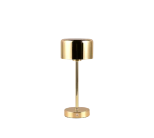 De REALITY Tafellamp JEFF heeft een modern gouden ontwerp met een cilindrische kap, slanke verticale steel en ronde metalen voet. De reflecterende afwerking en minimalistische stijl geven elke ruimte een elegante uitstraling.