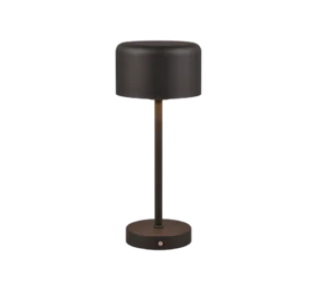 De REALITY Tafellamp JEFF is een moderne zwarte tafellamp met een cilindrische voet, slanke verticale steel, ronde platte lampenkap, minimalistisch design en een kleine knop op de voet.