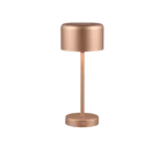 De REALITY Tafellamp JEFF is een moderne cilindervormige tafellamp met een metallic roségouden afwerking, ronde voet, slanke centrale steel en brede platte lampenkap, met een strak en minimalistisch ontwerp.