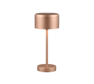De REALITY Tafellamp JEFF is een moderne cilindervormige tafellamp met een metallic roségouden afwerking, ronde voet, slanke centrale steel en brede platte lampenkap, met een strak en minimalistisch ontwerp.