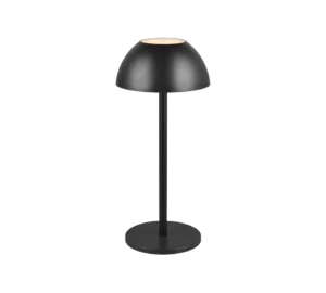 De REALITY Tafellamp RICARDO is een moderne zwarte tafellamp met een koepelvormige kap, slanke verticale steel en ronde platte voet tegen een effen witte achtergrond.
