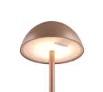 De Reality Tafellamp Ricardo is een moderne koepelvormige bruine lamp, van onderaf gezien met een warme gloed die het gladde metalen oppervlak en de centrale staaf benadrukt.