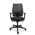 De Workliving De Maas Mesh - Bureaustoel Ergonomisch (N)EN 1335 is een zwarte ergonomische bureaustoel met netrugleuning, verstelbare armleuningen, zitkussens en onderstel met vijf wielen, afgebeeld tegen een witte achtergrond.