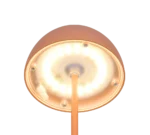 Close-up van de onderkant van de Reality Tafellamp Ortiz, met de ronde oranje lampkop met heldere LED's in een cirkelvormig patroon, bevestigd aan een bijpassende oranje steel.