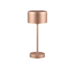 De REALITY Tafellamp JEFF is een moderne, metallic roségouden tafellamp met een cilindrische kap en voet, slanke steel, aan/uit-knop op de ronde voet en een strak minimalistisch ontwerp.