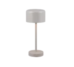 De REALITY Tafellamp JEFF is een moderne, minimalistische tafellamp met een cilindrische voet, slanke verticale steel en afgeronde koepelvormige kap, allemaal in mat lichtgrijs.