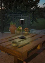 De REALITY Tafellamp FERNANDEZ, een kleine zwarte tafellamp, wordt verlicht op een houten pallettafel buiten te midden van potplanten, met een tuin en bomen op de schemerige achtergrond.