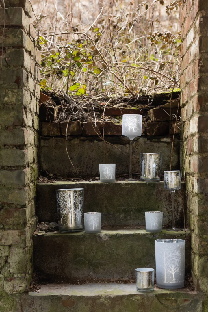 De Kaarsenhouder Orkaan Boom Glas Wit Zilver Medium Set 2 kaarsen staan in glazen houders met boommotieven op verweerde stenen treden, omringd door oude bakstenen muren en weelderige planten terwijl natuurlijk licht door het gebladerte erboven stroomt.