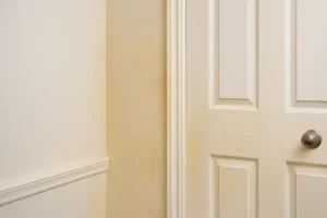 Een close-up van een witte binnendeur met een ronde zilveren deurknop, naast een beige muur met decoratieve afwerking. De zachte verlichting accentueert subtiel texturen en schaduwen - en roept de vraag op: waarom wordt mijn witte verf geel over de tijd?.