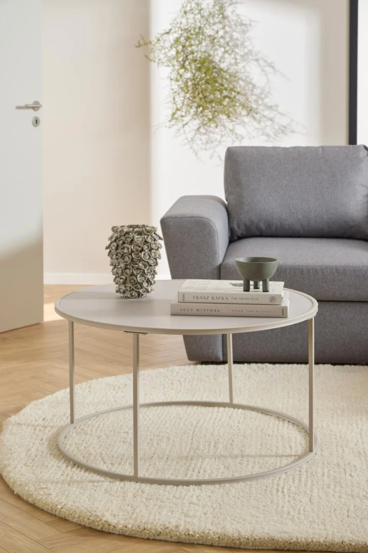 In een moderne woonkamer houdt de Salontafel Grijs 80 CM Rond Kunststof een vaas, twee gestapelde boeken en een schaal op een crèmekleurig vloerkleed. Daarachter staan een grijze bank en een groene plant, met zonlicht dat door het raam naar binnen schijnt.