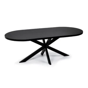 De Stalux Plat ovale eettafel 'Noud' (210 x 100) in zwart/zwart eiken heeft een modern zwart ovaal ontwerp met een gladde bovenkant en een unieke stervormige kruisvoet, tegen een effen witte achtergrond.