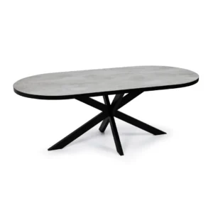 De Stalux Plat ovale eettafel 'Noud' (210 x 100) heeft een modern zwart onderstel met kruisende poten en een lichtgrijs blad in steenlook, dat een eigentijds en minimalistisch ontwerp biedt. Kleur: zwart / beton.