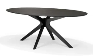 A Julia 200x110 Eettafel Ovaal in zwart eiken op een witte achtergrond.