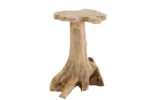 De Bijzettafel Teakhout is een rustieke bijzettafel gemaakt uit één stuk natuurlijk, onafgewerkt teakhout, met een boomstamvoet en een onregelmatig gevormd blad.