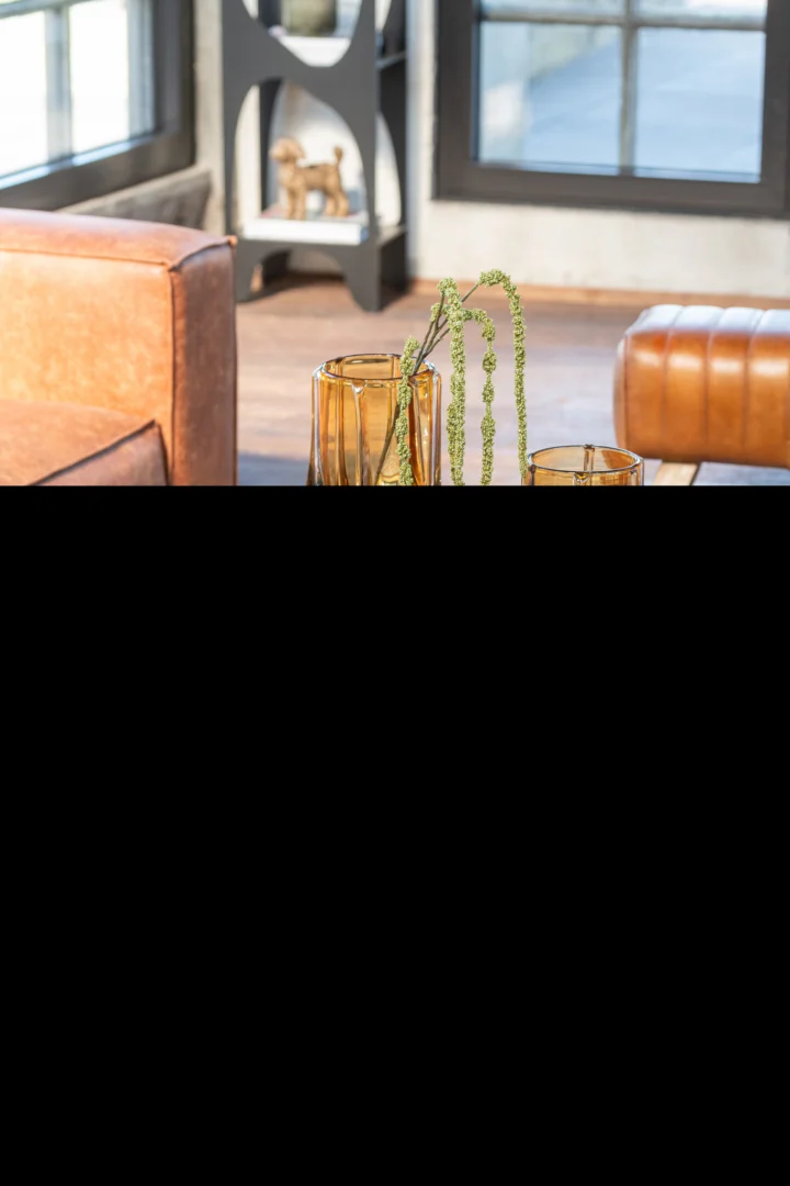 Een gezellige woonkamer met bruine leren stoelen, grote ramen en een Salontafel Zwart 80 x 80 CM Rond Ijzer met amberkleurige glazen en een vaas met groen gebladerte. Een moderne boekenplank en zonlicht maken het tafereel op de achtergrond compleet.