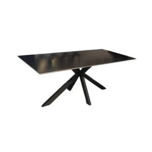 De OCTOPUS DT ZWART 180X90 SINTERSTEEN is een moderne rechthoekige zwarte tafel met een strak oppervlak en een artistiek, hoekig geometrisch onderstel, tegen een effen witte achtergrond.