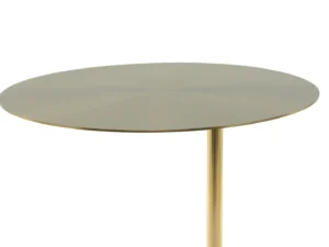 De Bijzettafel Bruin Rond Marmer Chique is een ronde bijzettafel met een glad marmeren blad en een enkele elegante centrale steun, tegen een effen witte achtergrond.