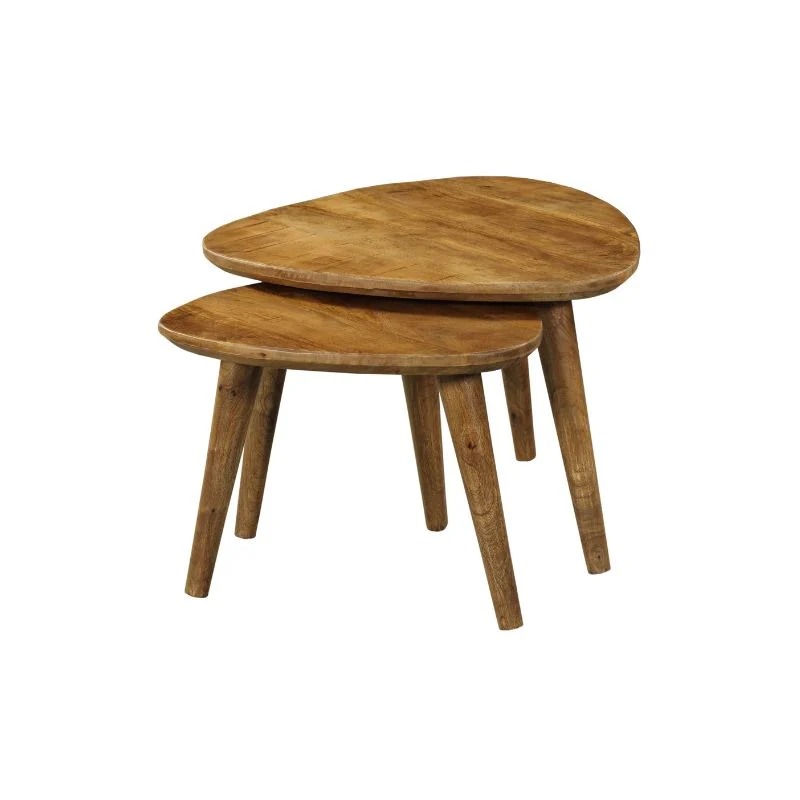 De Salontafel Design bestaat uit twee houten nesttafels met afgeronde, onregelmatige bladen en elk drie poten; de kleinere tafel past gedeeltelijk onder de grotere, weergegeven tegen een witte achtergrond.