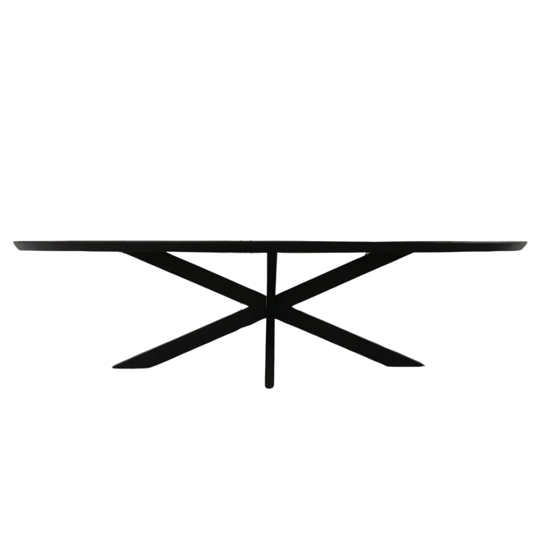 De Eettafel Brandy Zwart is een moderne, ovale zwarte tafel (300 cm) met een plat blad en een opvallende gekruiste poot.