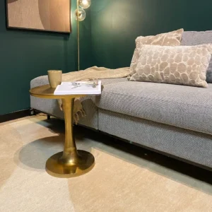 Een moderne woonkamer heeft een grijze bank met gedessineerde kussens en een beige kleed. Een Salontafel 45 x 45 CM Vierkant Design houdt een kopje en een tijdschrift vast. De donkergroene muur en staande lamp creëren een warme sfeer.