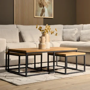 Een moderne woonkamer met een lichtgrijze sofa, de Salontafel Roest 50 x 42 CM Rechthoek als salontafel, decoratieve vazen met droogbloemen en een neutraal vloerkleed op een houten vloer. Ingelijste muurkunst hangt op de achtergrond.