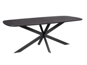 De Eettafel Elegance Zwart is een moderne Deense ovale eettafel, 200x100 cm, in zwart met afgeronde hoeken en een uniek stervormig hoekig onderstel.