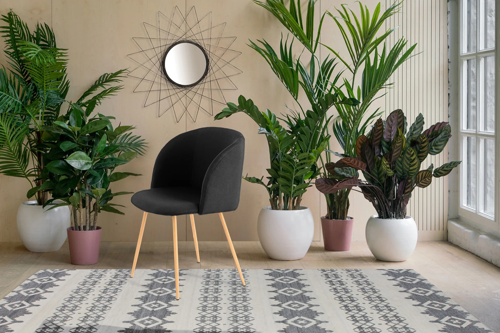 Stoel Celina Zwart: Zwarte stoel met houten poten, omringd door planten en een kleed.