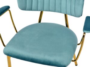 Stoel Kian 200 Mint set van 2: Blauwe velvet stoel met gouden frame | Nieuwe Sfeer