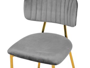 Stoel Kian 100 Grijs: Grijze velvet stoel met gouden poten, set van 2 | Nieuwe Sfeer