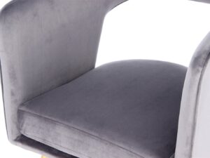 Eetkamerstoel Jolene Grijs: Grijze velvet stoel met afgeronde rugleuning en zitting.