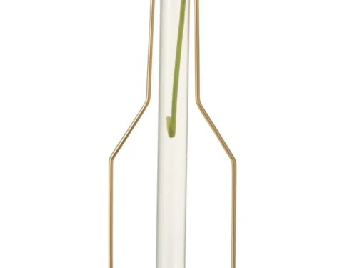 Vaas Brietund Metaal Goud H33 cm met glazen binnenbuis en slanke gouden frame, met enkele groene bloemsteel