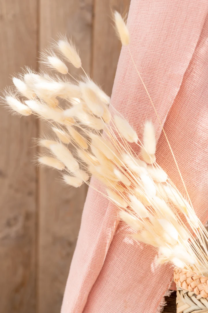 Droogbloemen Taallello Gras Wit - Afbeelding 2
